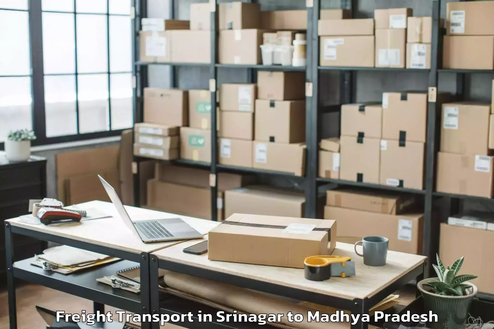 Top Srinagar to Mandsaur University Mandsaur Freight Transport Available